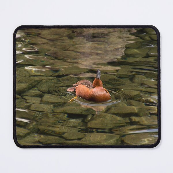 Item preview, Cinnamon Teal Duck Gymnastics designed and sold by Georgia Mizuleva.