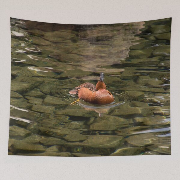 Item preview, Cinnamon Teal Duck Gymnastics designed and sold by Georgia Mizuleva.