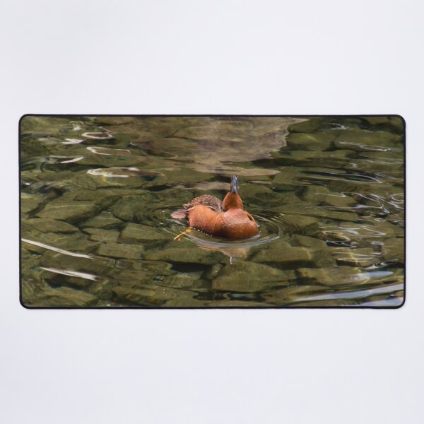 Item preview, Cinnamon Teal Duck Gymnastics designed and sold by Georgia Mizuleva.