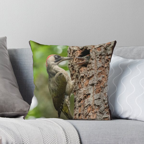 Aperçu de l'œuvre Green woodpecker feeding young.  créée et vendue par JoHackman.