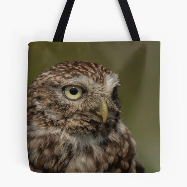 Aperçu de l'œuvre Little Owl Portrait. créée et vendue par JoHackman.