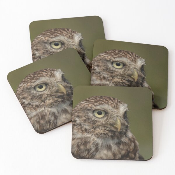 Item preview, Little Owl Portrait. designed and sold by JoHackman.