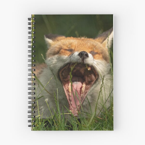 Item preview, Sleepy fox.  designed and sold by JoHackman.