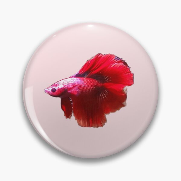 Item preview, Cutie the Half Moon Twin Tail Betta Fish designed and sold by Sahar Zahraee.