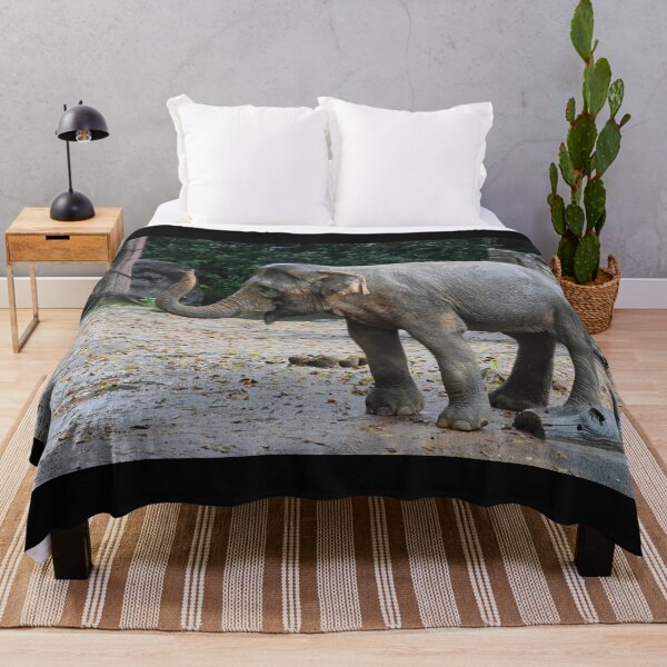 Item preview, Asian Elephant designed and sold by LeanneAllen.