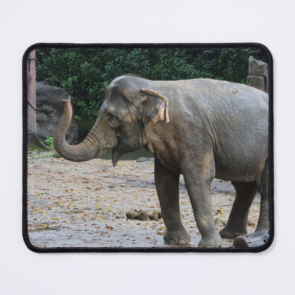 Item preview, Asian Elephant designed and sold by LeanneAllen.