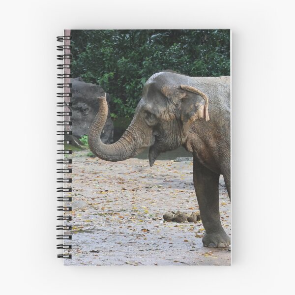 Item preview, Asian Elephant designed and sold by LeanneAllen.