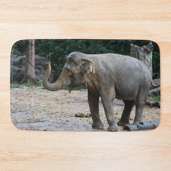 Item preview, Asian Elephant designed and sold by LeanneAllen.