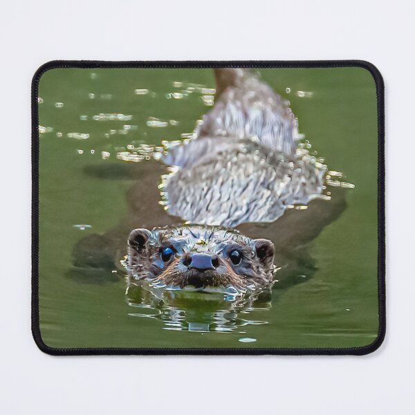 Item preview, Wild Eurasian Otter designed and sold by Dalyndigital Photography.