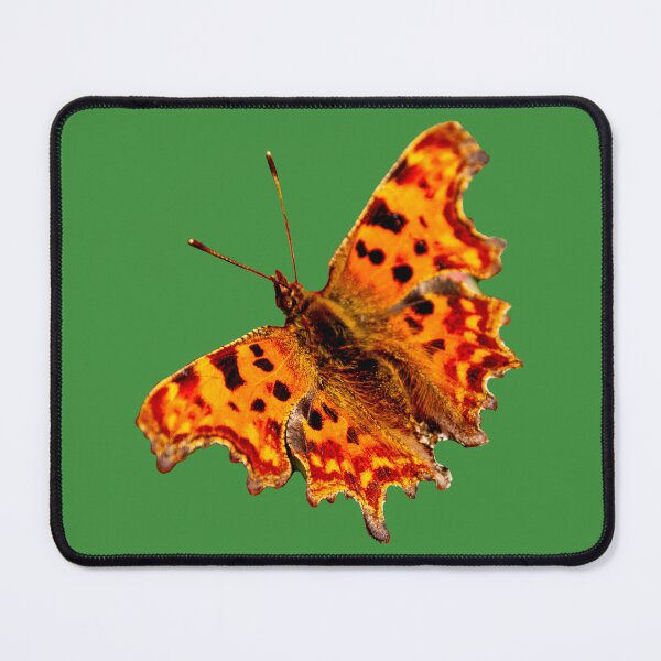 Item preview, Comma Butterfly designed and sold by Dalyndigital Photography.