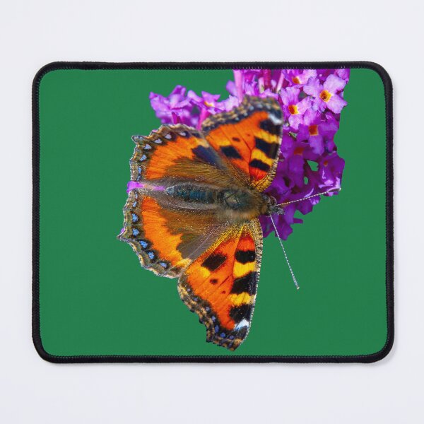 Item preview, Tortoiseshell butterfly designed and sold by Dalyndigital Photography.