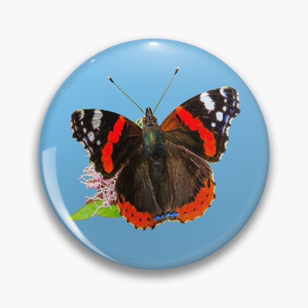 Item preview, Red Admiral Butterfly designed and sold by Dalyndigital Photography.