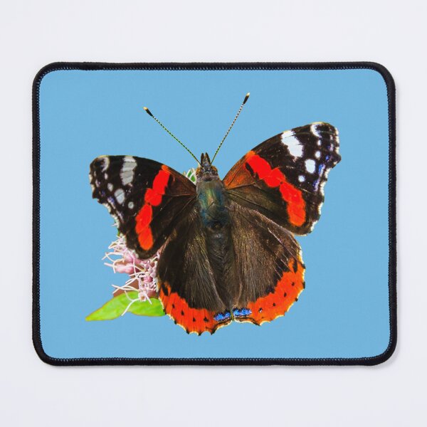 Item preview, Red Admiral Butterfly designed and sold by Dalyndigital Photography.
