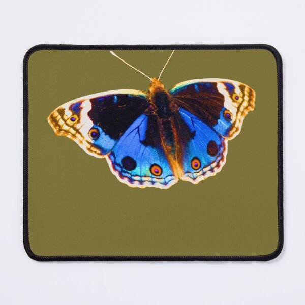 Item preview, Blue Pansy Butterfly designed and sold by Dalyndigital Photography.