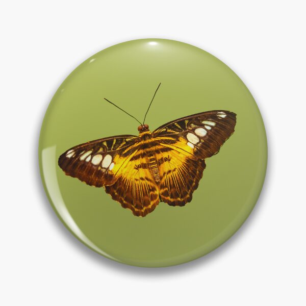 Item preview, Clipper butterfly designed and sold by Dalyndigital Photography.