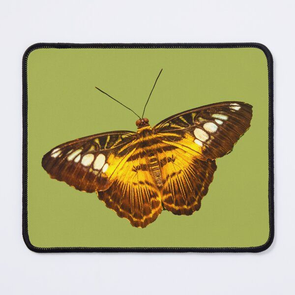 Item preview, Clipper butterfly designed and sold by Dalyndigital Photography.