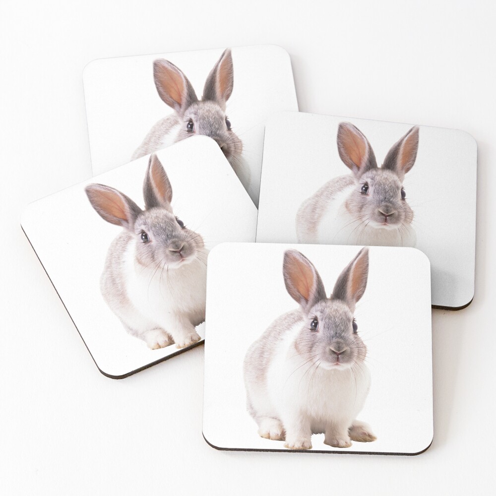 Item preview, Coasters (Set of 4) designed and sold by audio-sync.