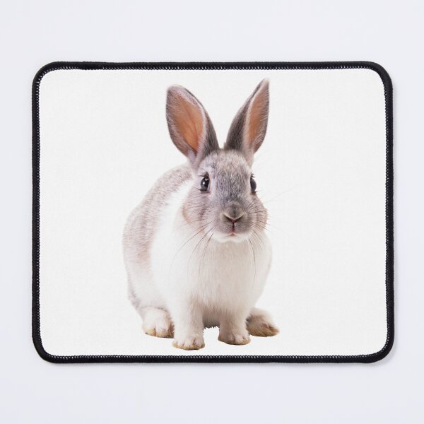 Item preview, Pet Rabbit designed and sold by Designs By Creation.