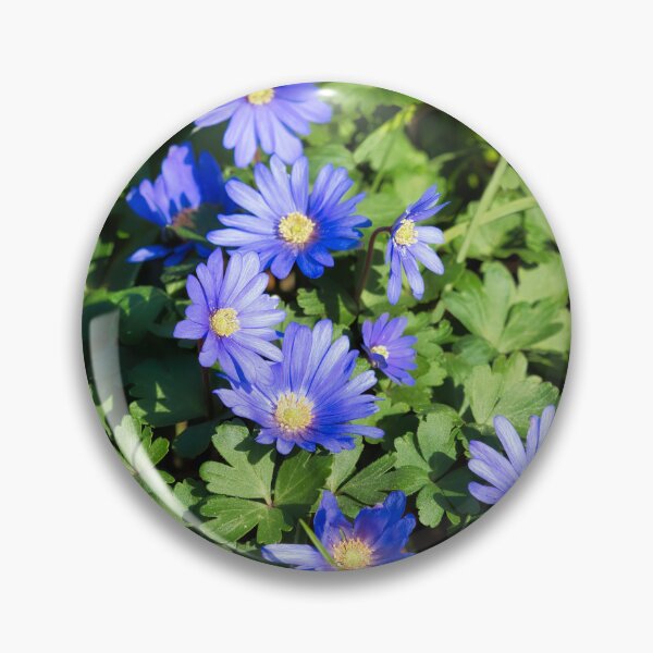 Item preview, Anemone-Blanda  Grecian-Windflower designed and sold by Dorset Girl.