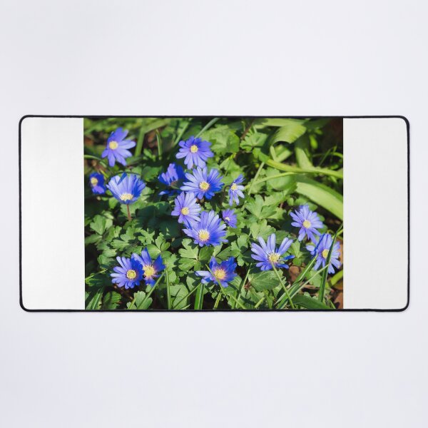 Item preview, Anemone-Blanda  Grecian-Windflower designed and sold by Dorset Girl.