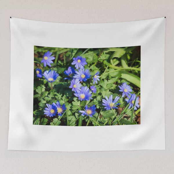 Item preview, Anemone-Blanda  Grecian-Windflower designed and sold by Dorset Girl.