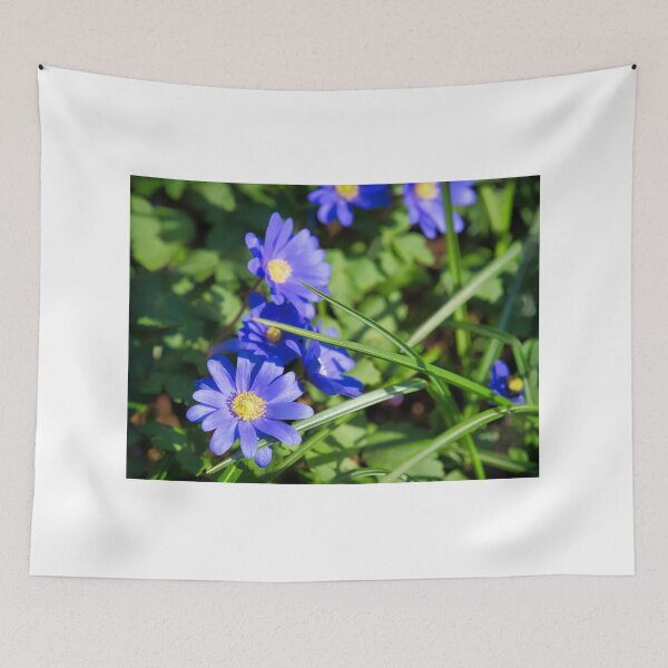 Item preview, Blue Anemone Blanda Grecian Windflowers designed and sold by Dorset Girl.