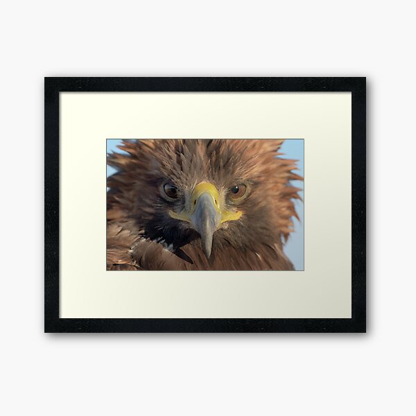 Adler in Dubai Gerahmter Kunstdruck