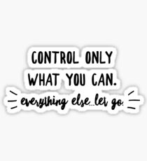 Control what you can, everything else let go Sticker