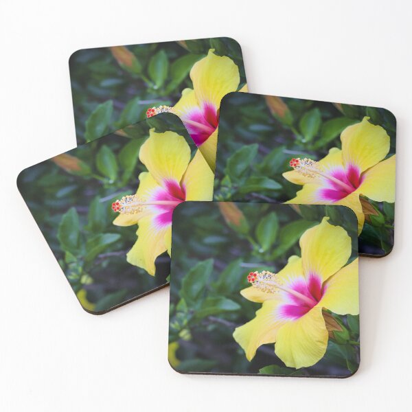 Item preview, Hibiscus Flower  designed and sold by Guilded Reflections.
