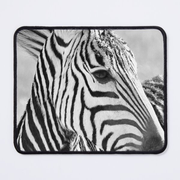 Item preview, Zebra Baby Portrait 9694 designed and sold by thupho.
