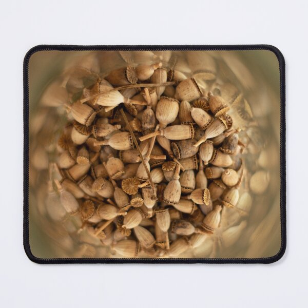 Item preview, poppy capsules designed and sold by estebanezcurra8.
