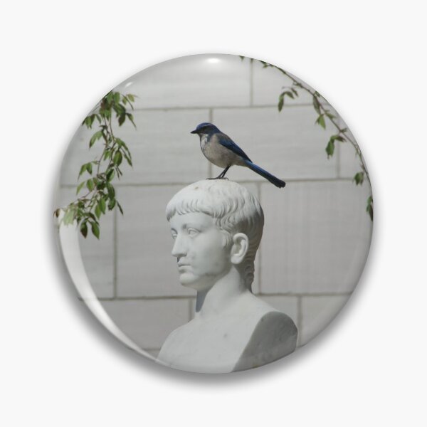 Item preview, Bird Brain designed and sold by PinesandPalms.