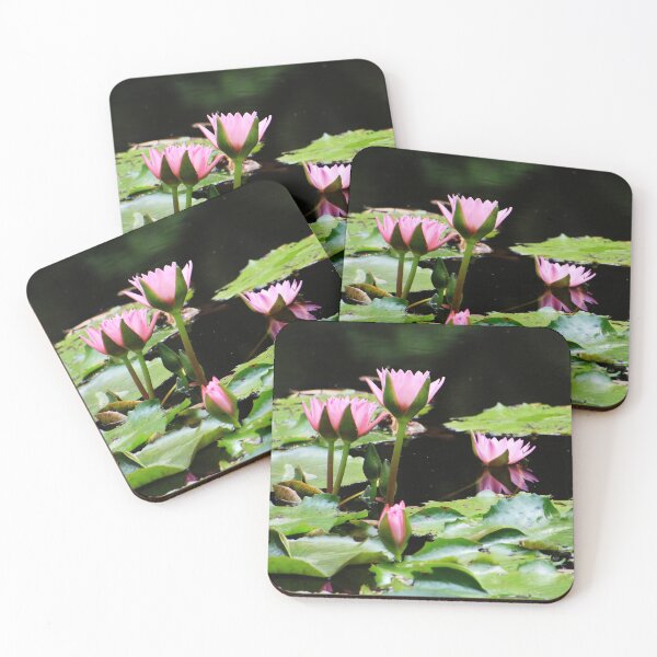 Item preview, Pink Water Lillies  designed and sold by Geoff Treagus.
