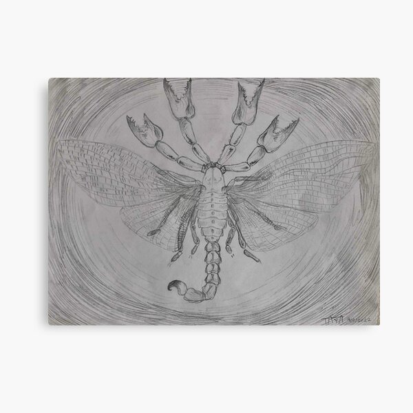 Angelic Scorpion Canvas Print