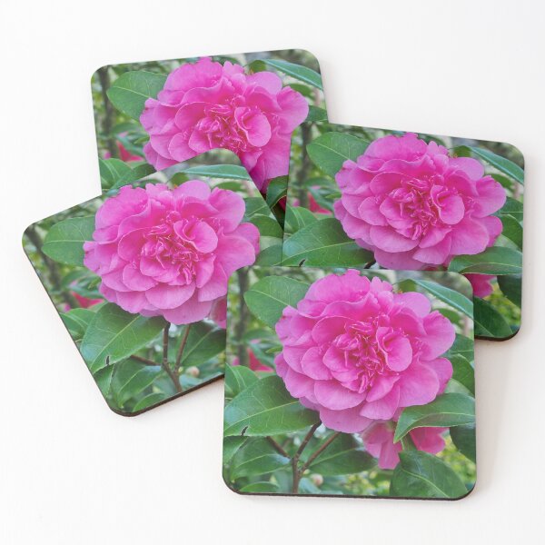 Item preview, We LOVE Pink! designed and sold by Sophie Baldwin.