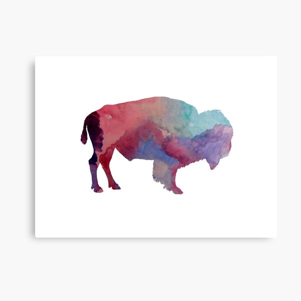 Bison Canvas Print