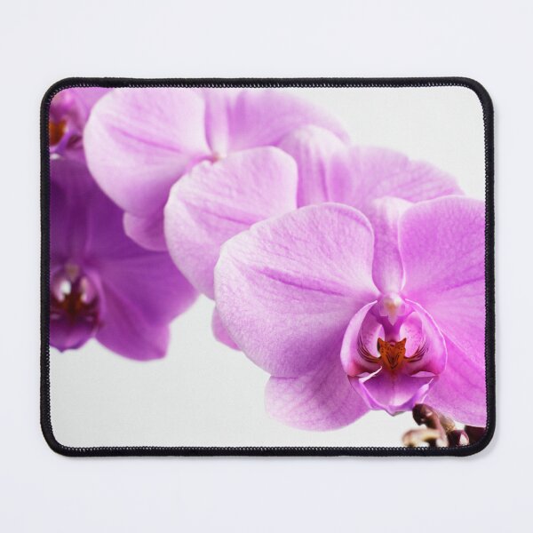 Item preview, Orchid designed and sold by Sophie Baldwin.