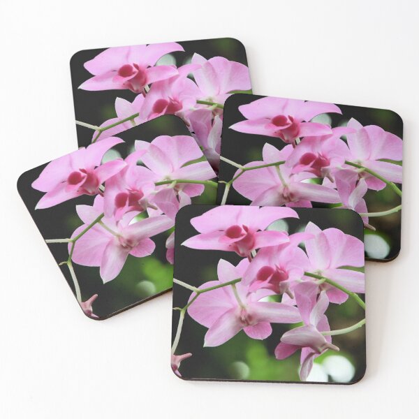 Item preview, Orchids of Mount Coot-tha designed and sold by Geoff Treagus.