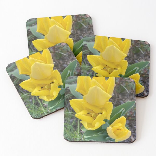 Item preview, Yellow Tulips  designed and sold by Amanda1775.