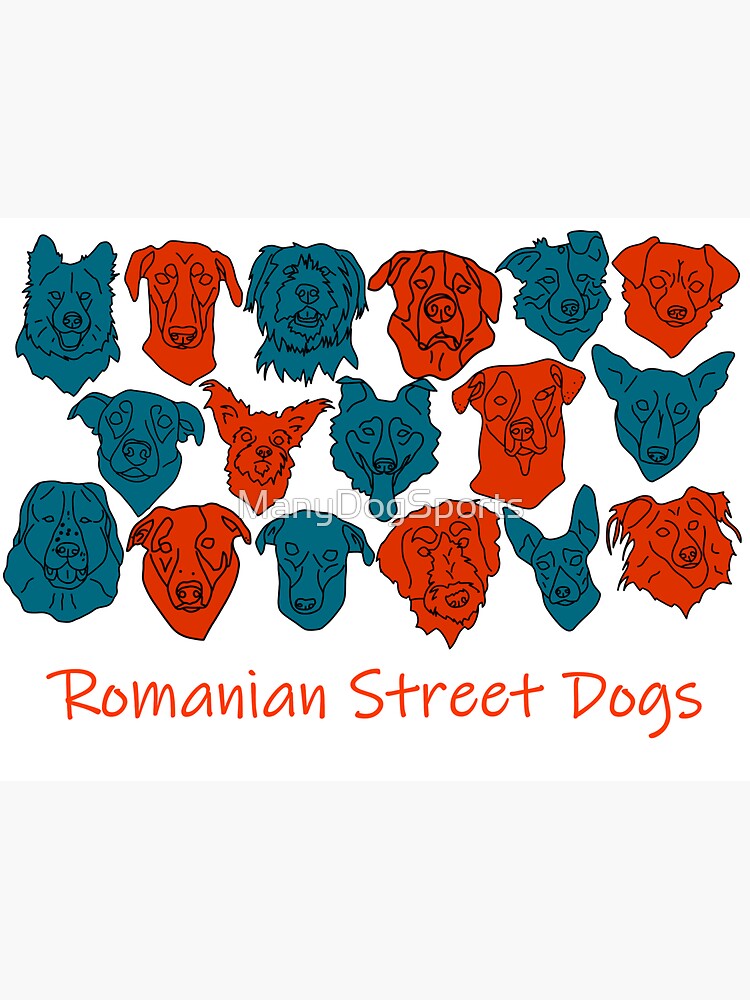 "Romanian street dogs" Sticker for Sale by ManyDogSports Redbubble