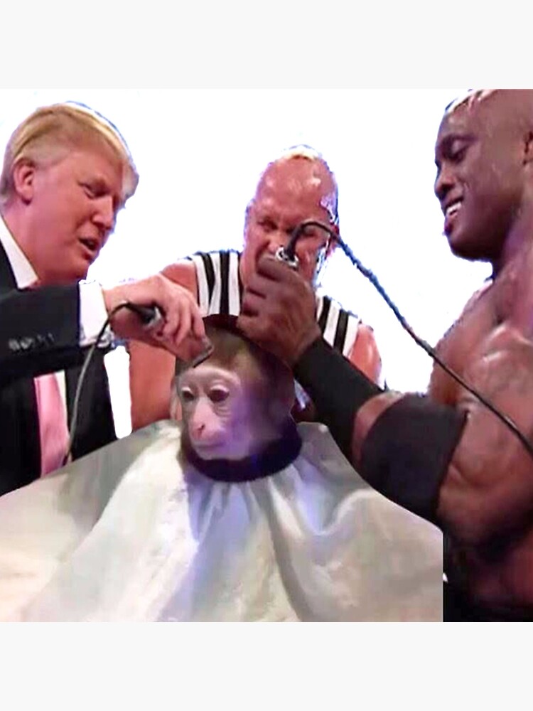 Monkey Haircut Meme Can Be Photoshopped Into Anything