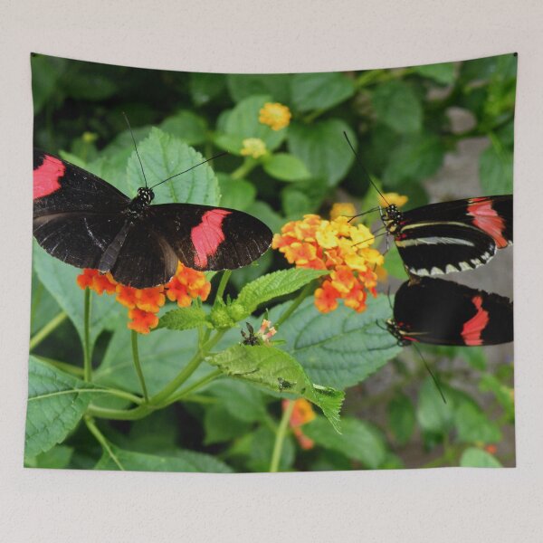 Item preview, Trio of Postman Butterflies designed and sold by AnnDixon.