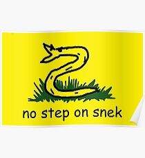 Gadsden Flag No Step On Snek Meme Poster