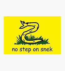 Gadsden Flag No Step On Snek Meme Photographic Print