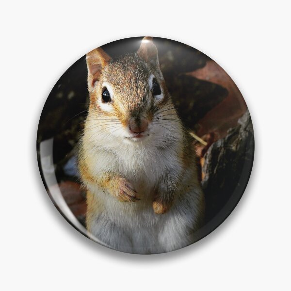 Item preview, Chipmunk designed and sold by JamieGrant1972.