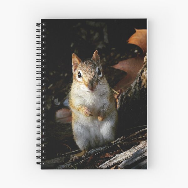 Item preview, Chipmunk designed and sold by JamieGrant1972.