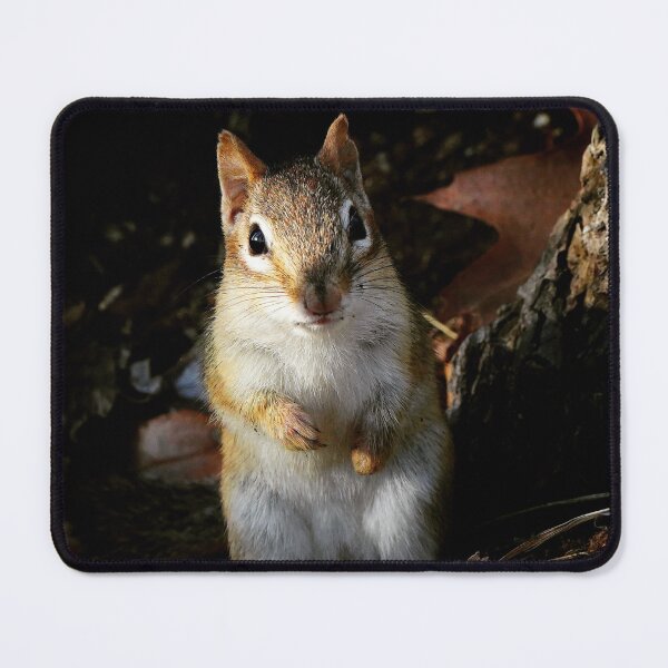 Item preview, Chipmunk designed and sold by JamieGrant1972.