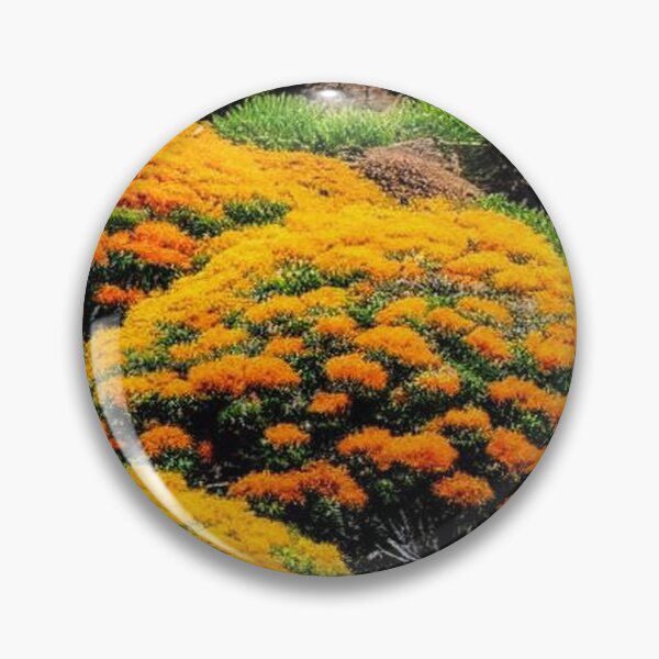 Item preview, mounds of yellow and orange flowers in a meadow designed and sold by JaroDesign2023.