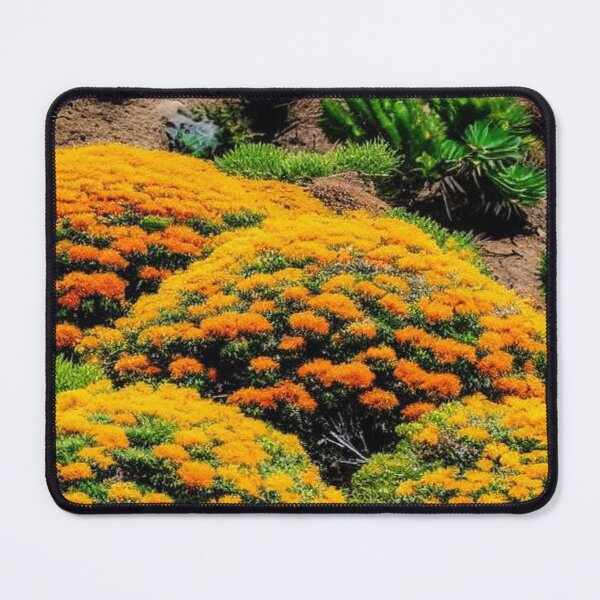 Item preview, mounds of yellow and orange flowers in a meadow designed and sold by JaroDesign2023.