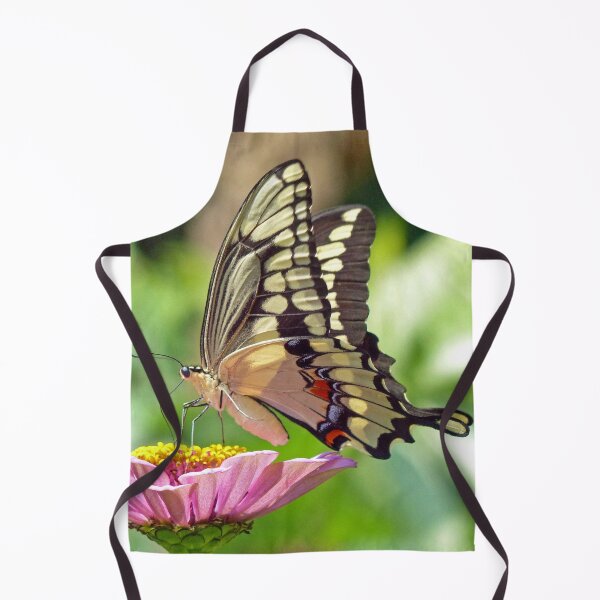 Item preview, Giant Swallowtail Butterfly designed and sold by Frankie Cat Photography.